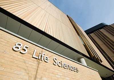 Life Sciences Steel Letters Teesside