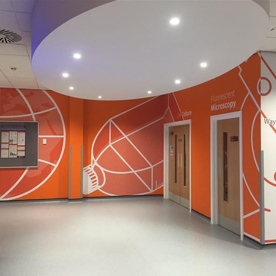 York University Interior Wall Graphics