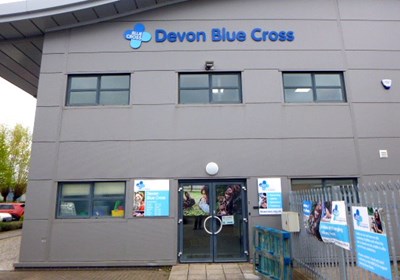 Exterior Signage For Devon Blue Cross, Comprising Fret Cut Logo/Letters, Window Graphics & Building/Fence Signs By Signs Express (Exeter)