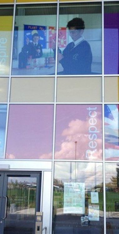 Window Graphics Educational Cost-Effective Branding with Window Graphics