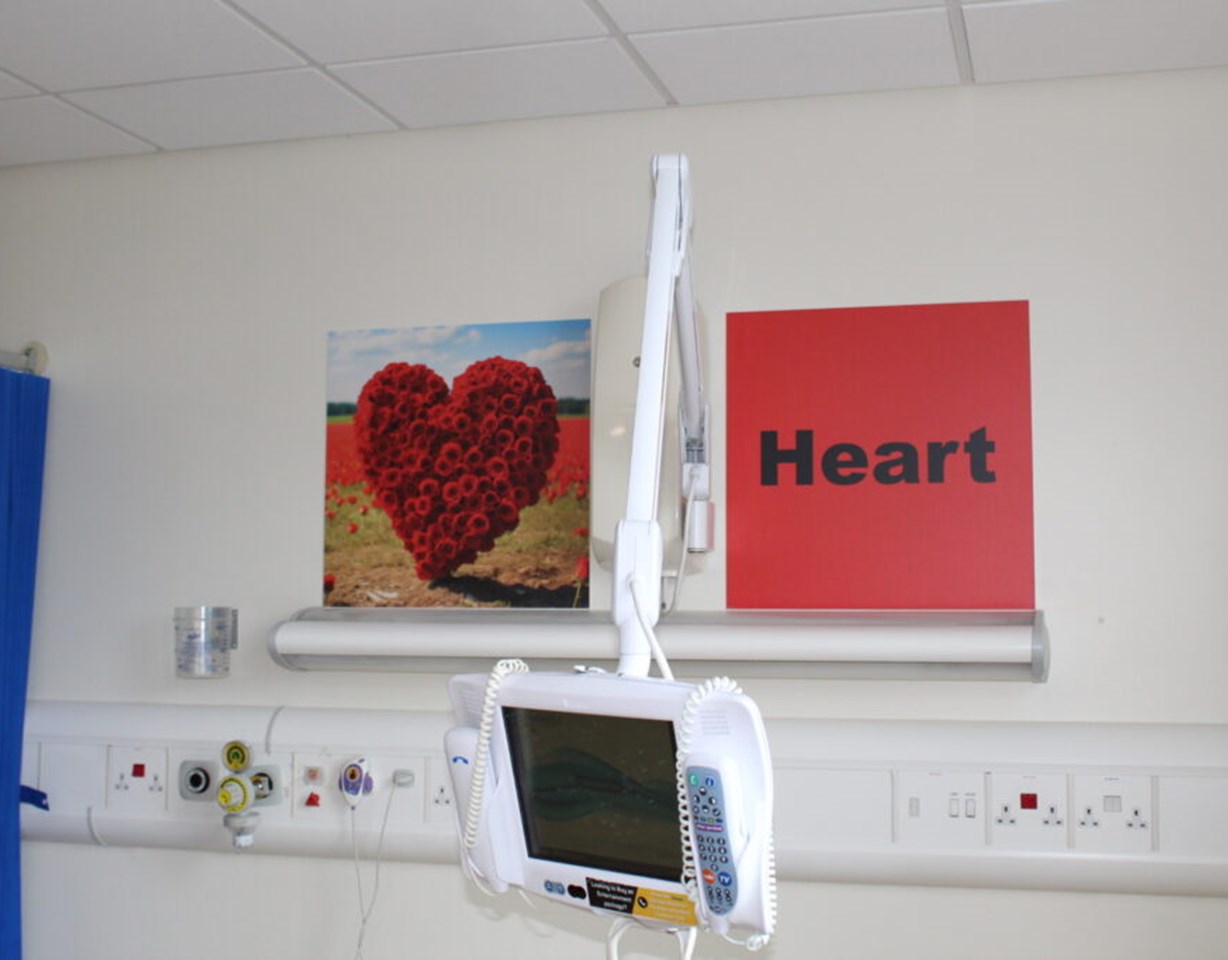 The Health Tree Foundation - Interior Signs
