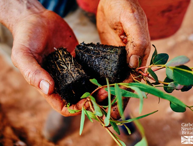 South West Australia Reforestation Image 6