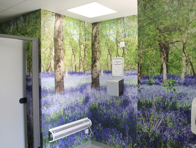 Window Graphics Educational East Grinstead