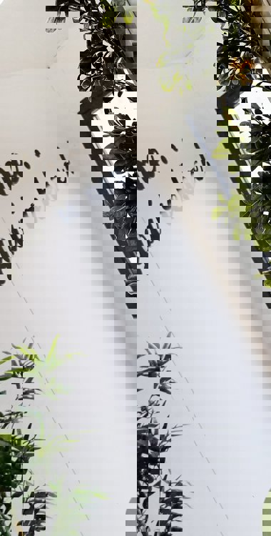 Wall lettering stickers