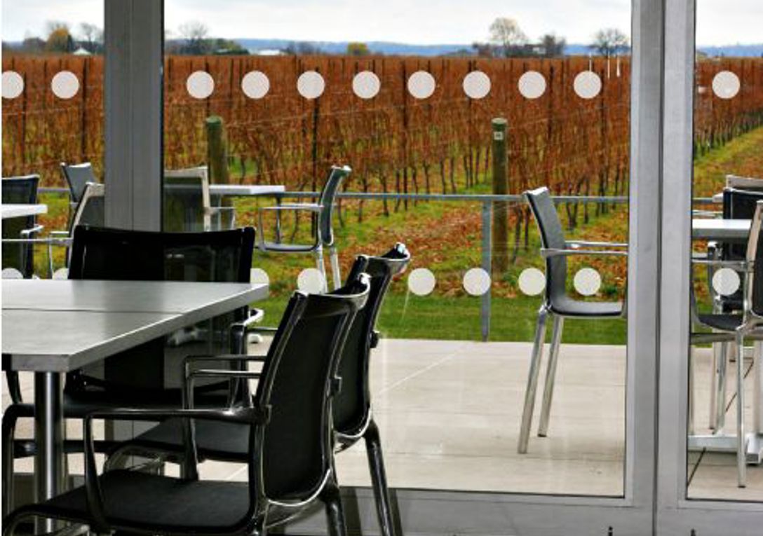 Window Manifestations