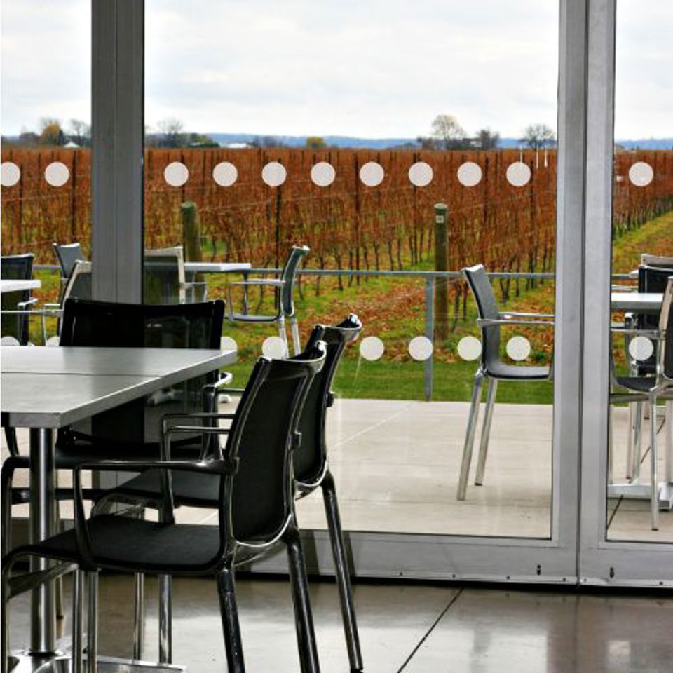 Window Manifestations