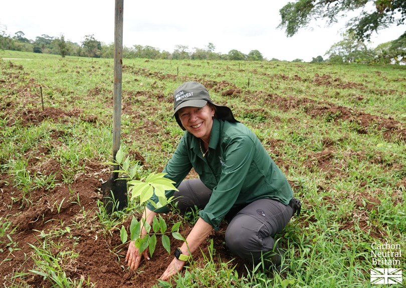 Improved Biodiversity Mixed Reforestation – Image 5